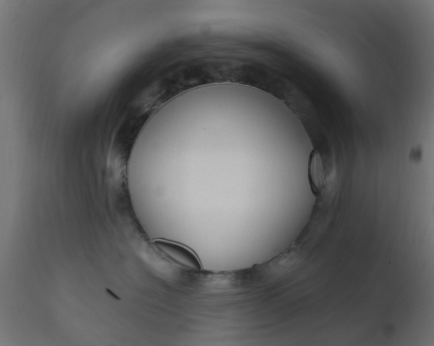 X0000110710574200906261434