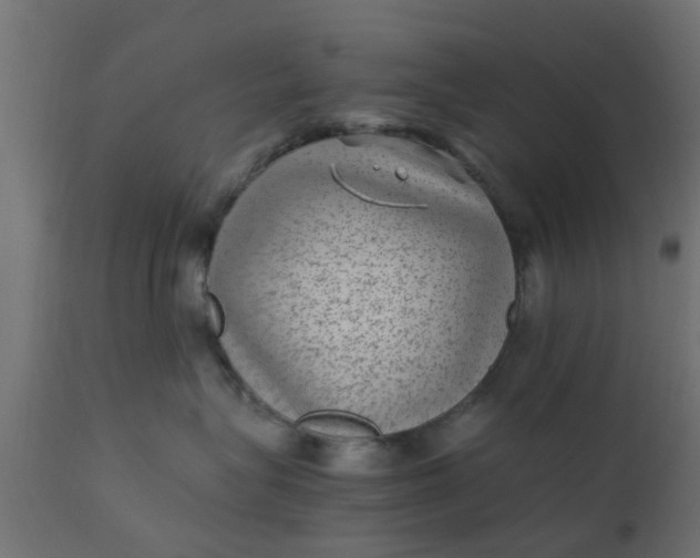 X0000110710575200906261434
