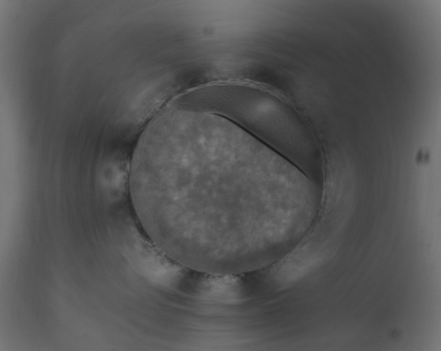 X0000110710576200906261434