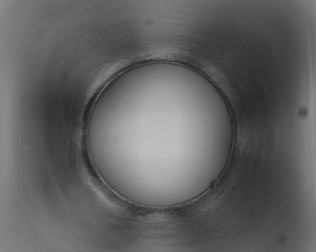 X0000110710578200906261433