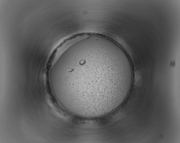 X0000110710580200906261433