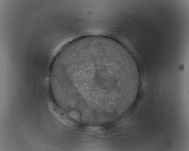 X0000110710583200906261433
