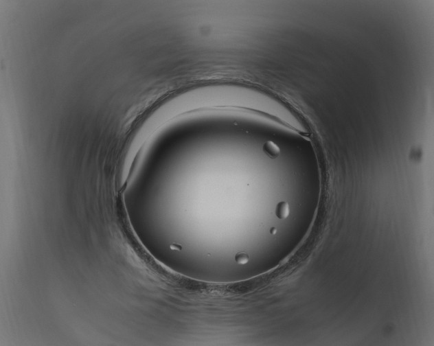 X0000110710585200906261433