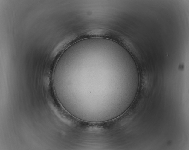 X0000110710586200906261433