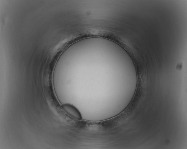 X0000110710587200906261433