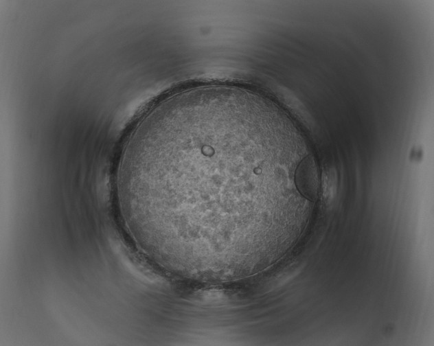 X0000110710588200906261433