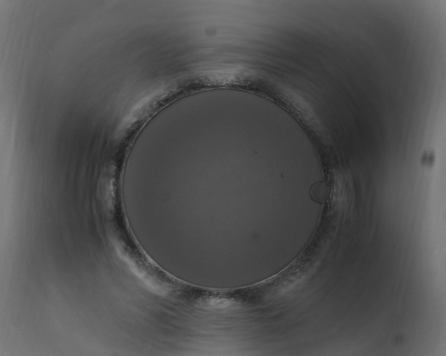 X0000110710590200906261433