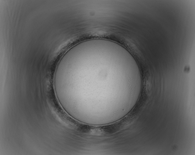 X0000110710591200906261433