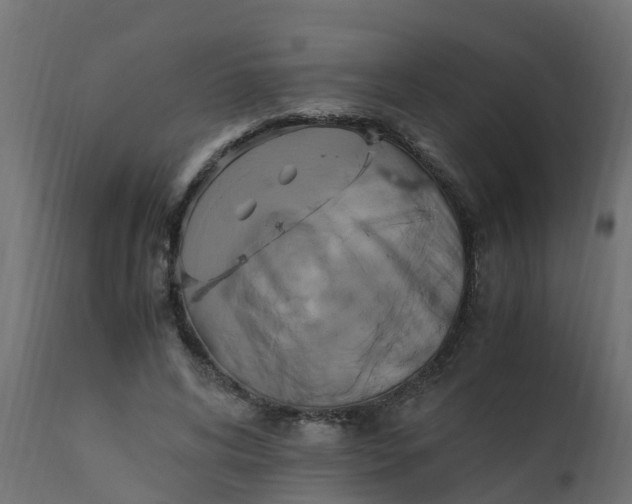 X0000110710592200906261433