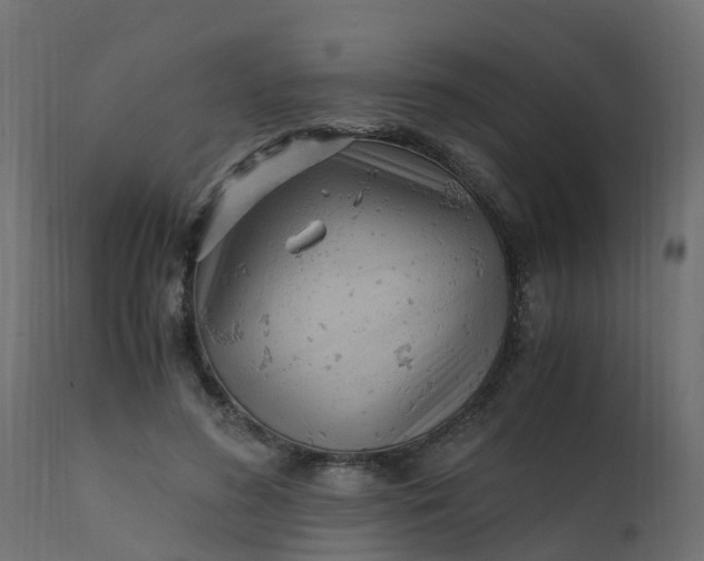 X0000110710596200906261433