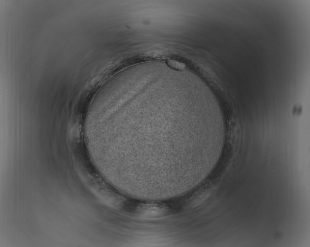X0000110710597200906261433
