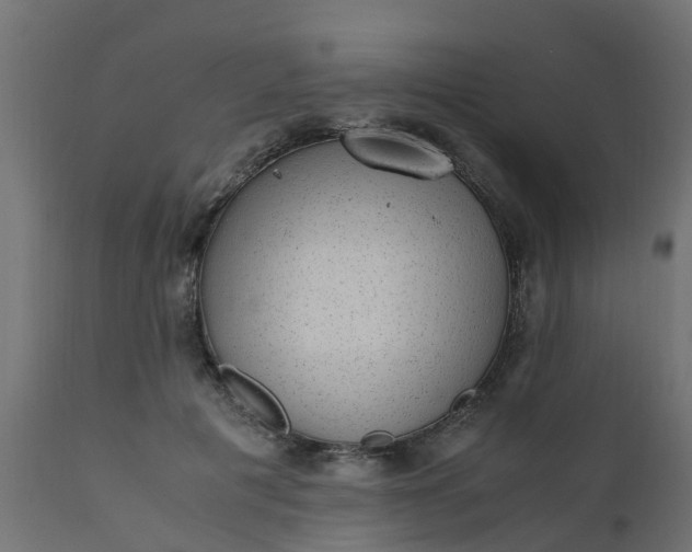 X0000110710601200906261433
