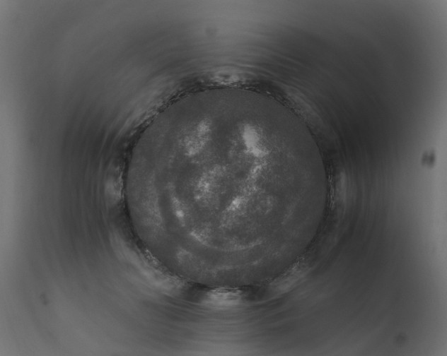 X0000110710606200906261433