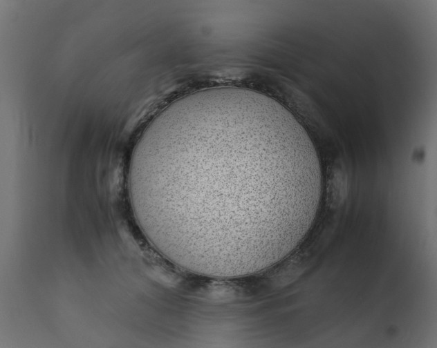 X0000110710608200906261433