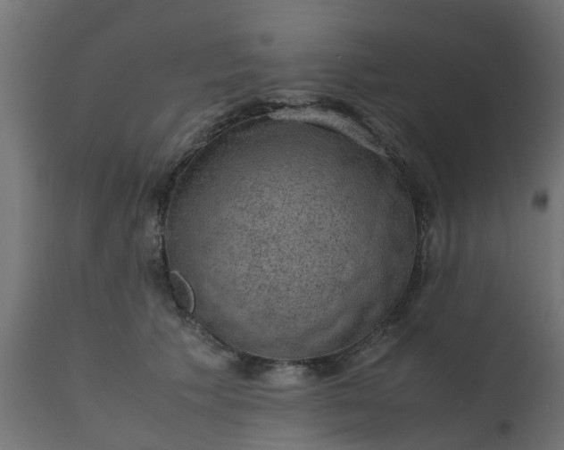 X0000110710609200906261433