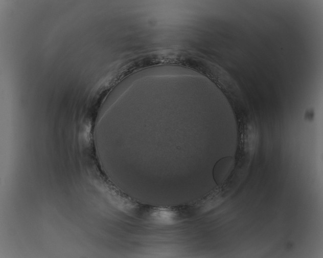 X0000110710610200906261433