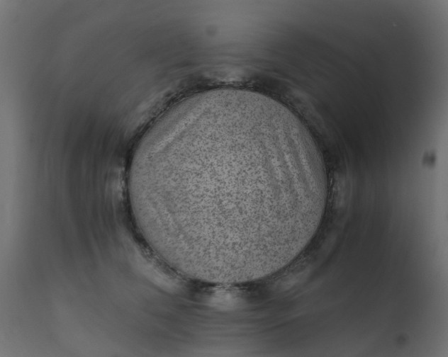 X0000110710612200906261433