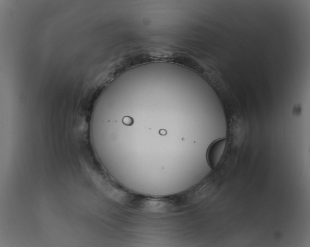 X0000110710614200906261433
