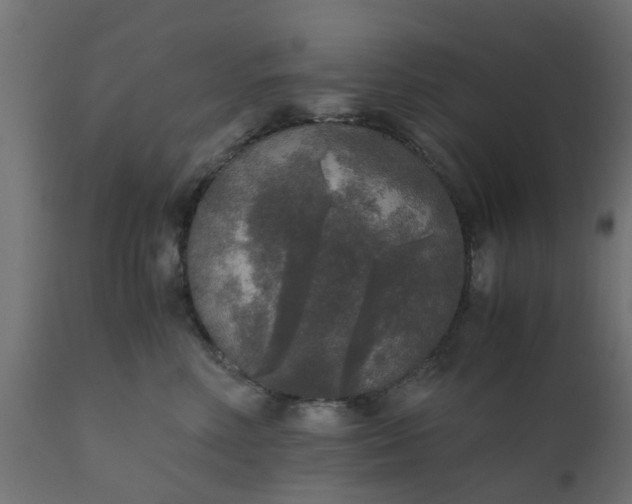 X0000110710618200906261433