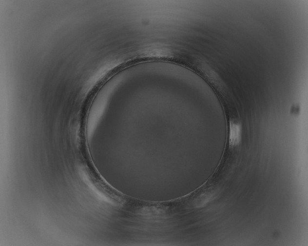 X0000110710627200906261432