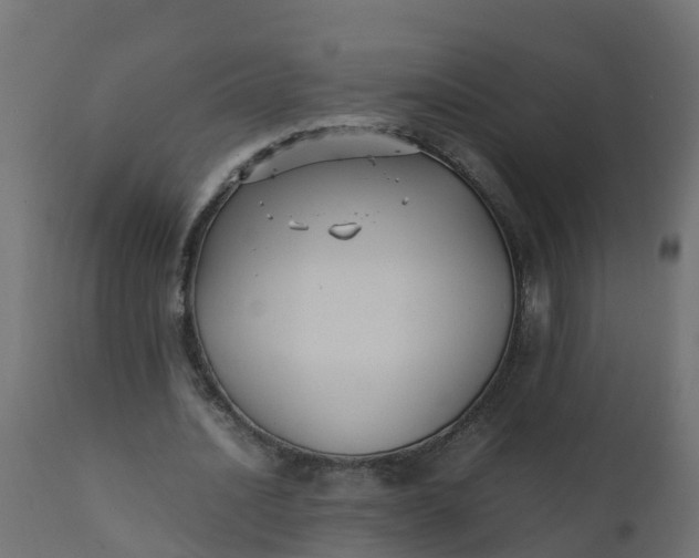 X0000110710628200906261432