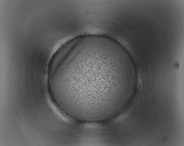 X0000110710630200906261432
