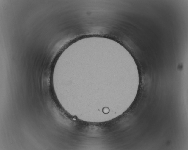 X0000110710632200906261432