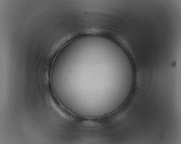 X0000110710633200906261432