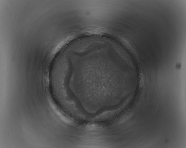 X0000110710634200906261432