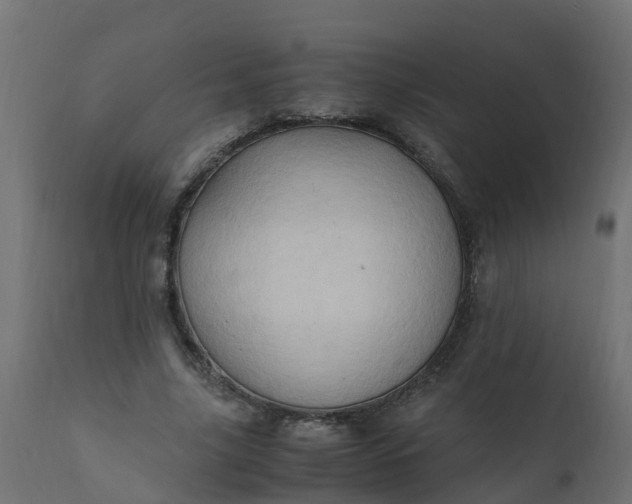 X0000110710635200906261432