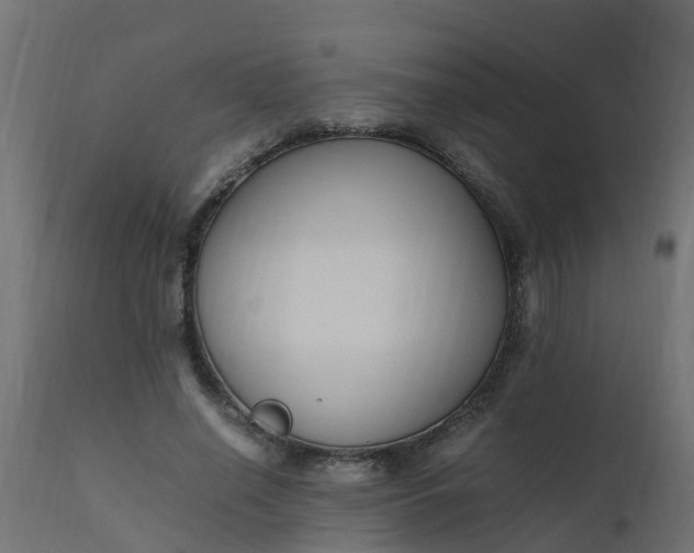 X0000110710638200906261432