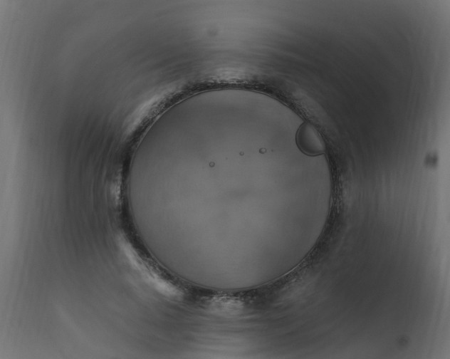 X0000110710640200906261432