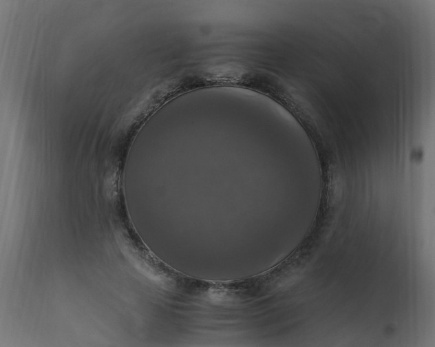 X0000110710641200906261432