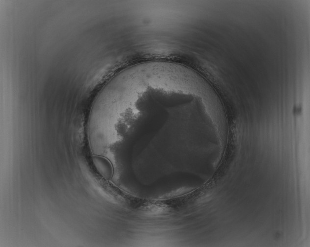 X0000110710642200906261432