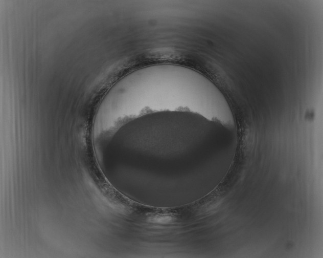 X0000110710643200906261432