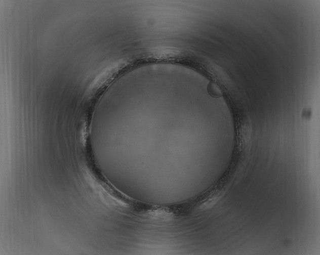 X0000110710644200906261432