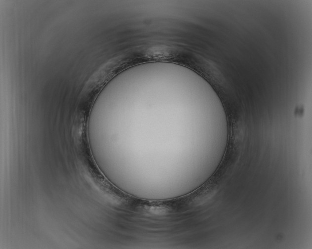 X0000110710645200906261432