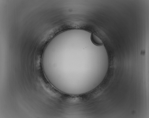 X0000110710646200906261432