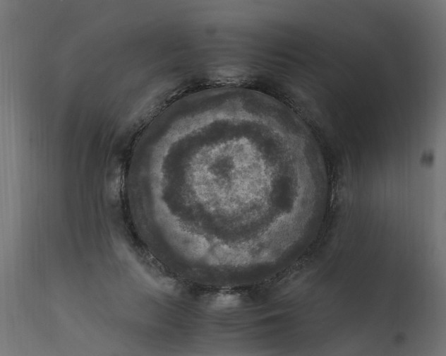 X0000110710647200906261432