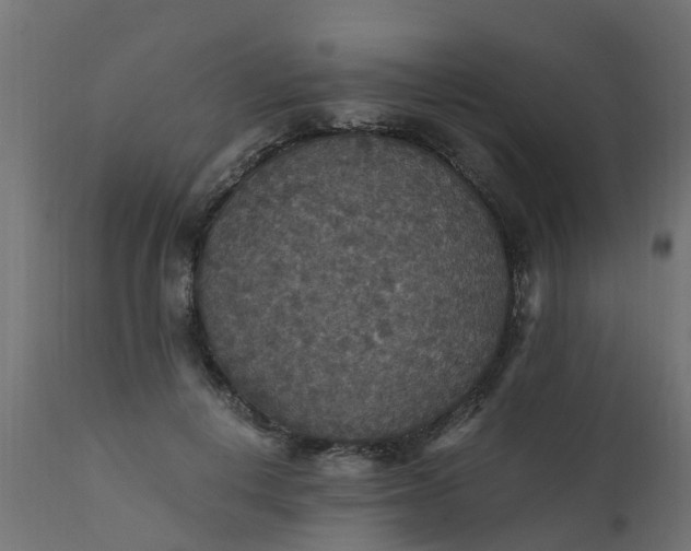 X0000110710648200906261432
