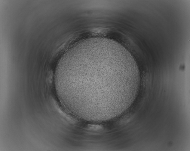 X0000110710649200906261432
