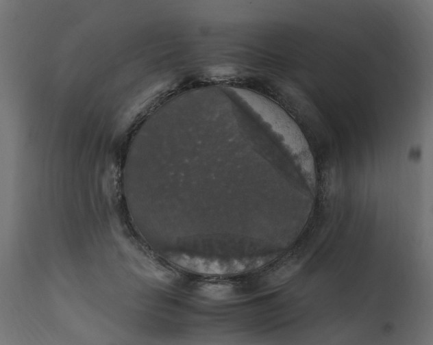 X0000110710653200906261432