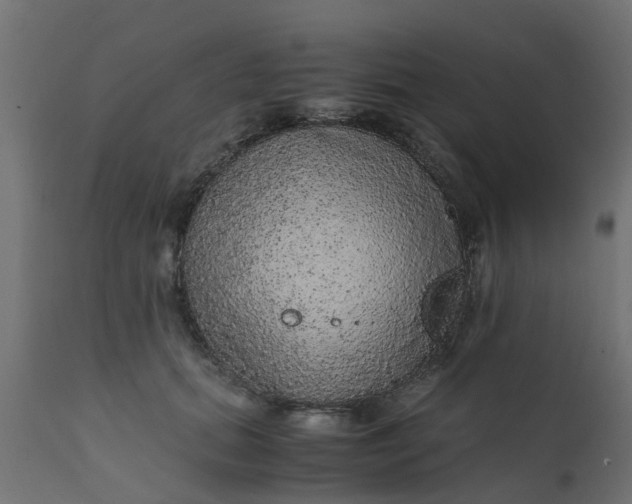 X0000110710655200906261432