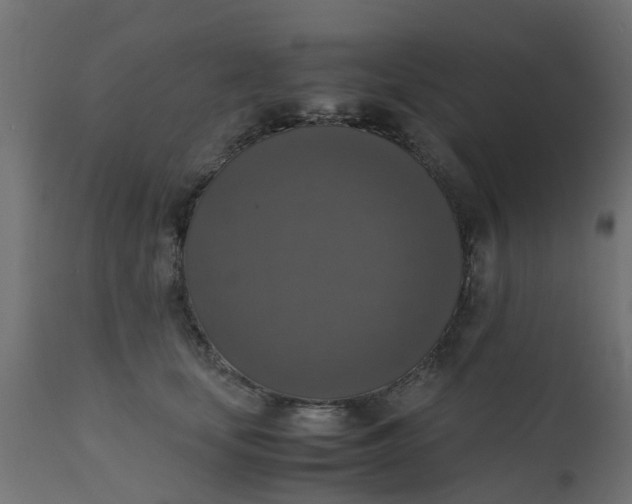X0000110710659200906261432