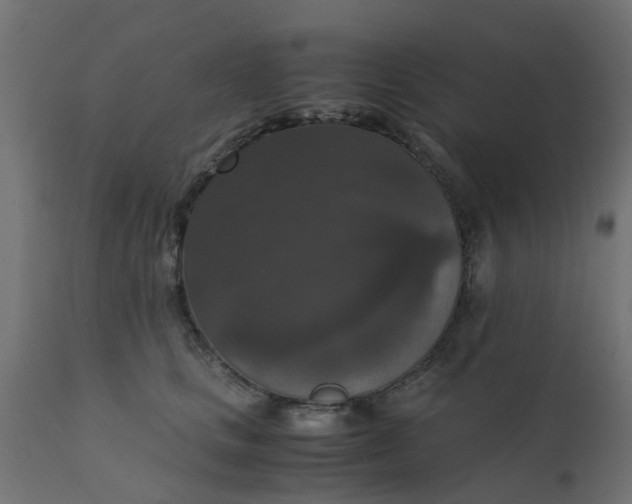 X0000110710661200906261432