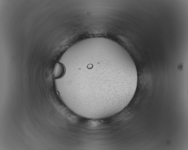 X0000110710662200906261432