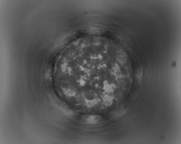 X0000110710663200906261432