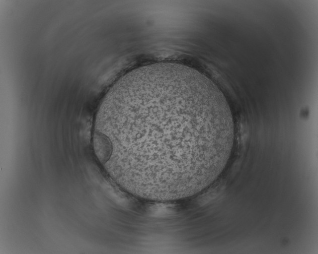 X0000110710664200906261432