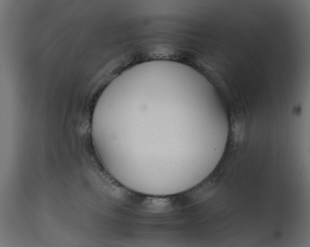 X0000110710665200906261432