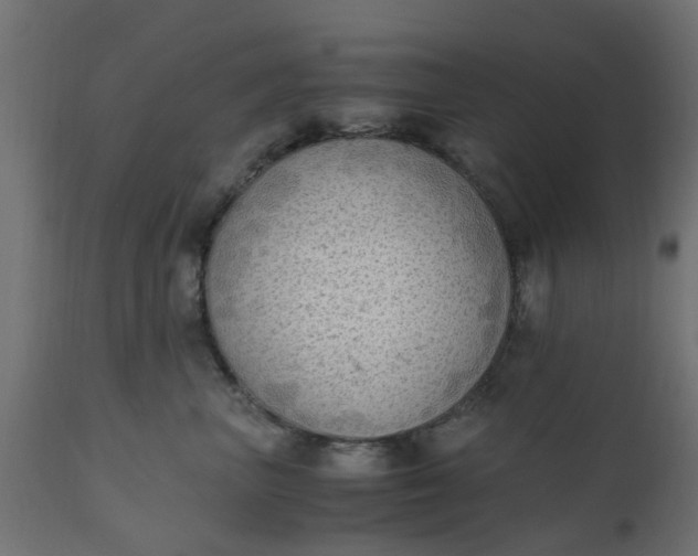 X0000110710667200906261432